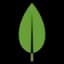 MongoDB